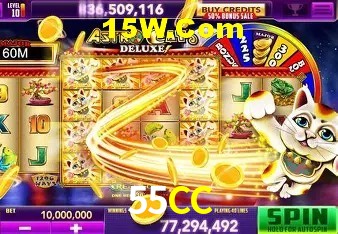 Experiência VIP 55CC