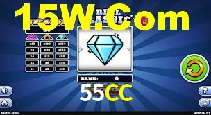 Premium Interface 55CC